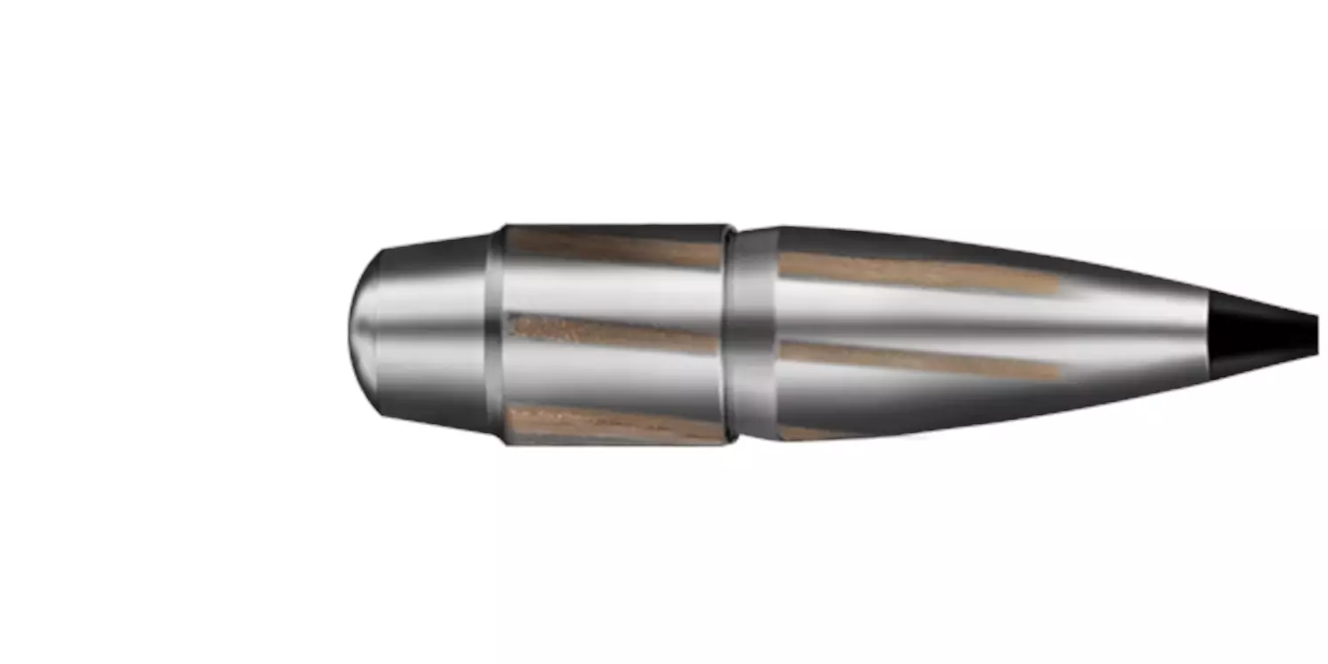 RWS .30-06 ST  Professional Short Rifle  10,7g/165gr