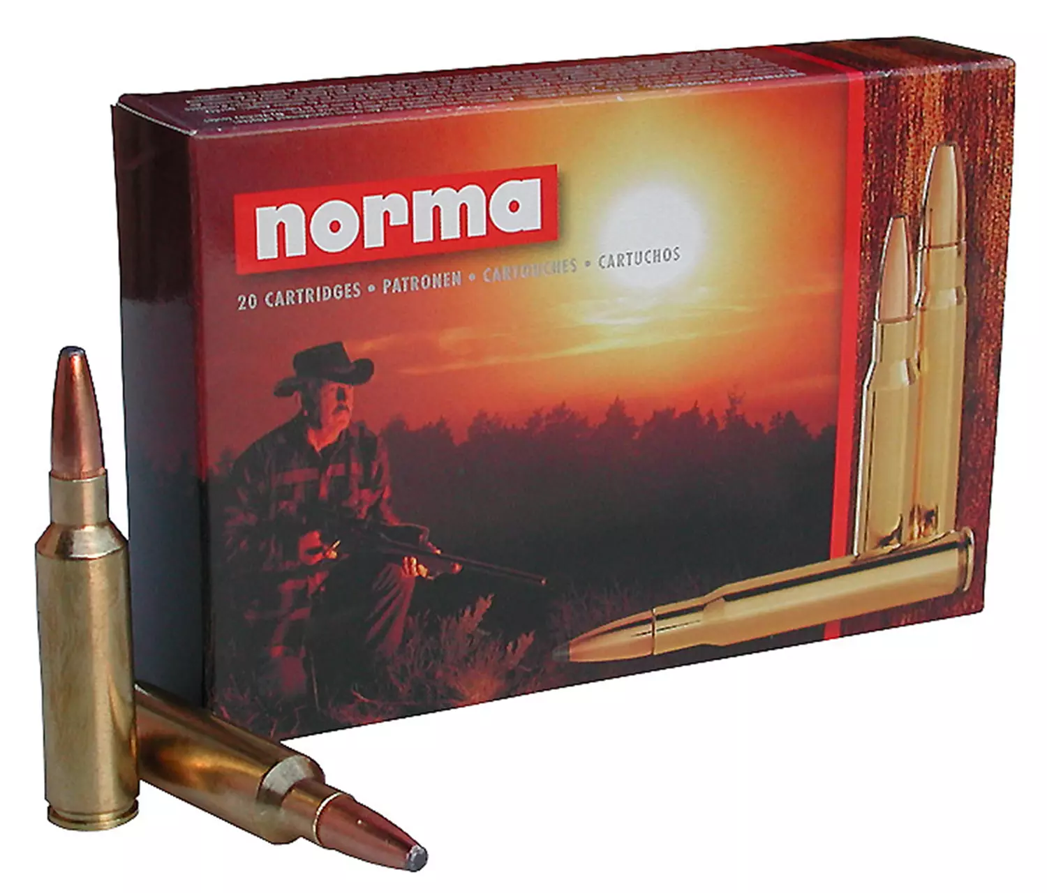NORMA .30-06 Springfield Oryx 11,7g
