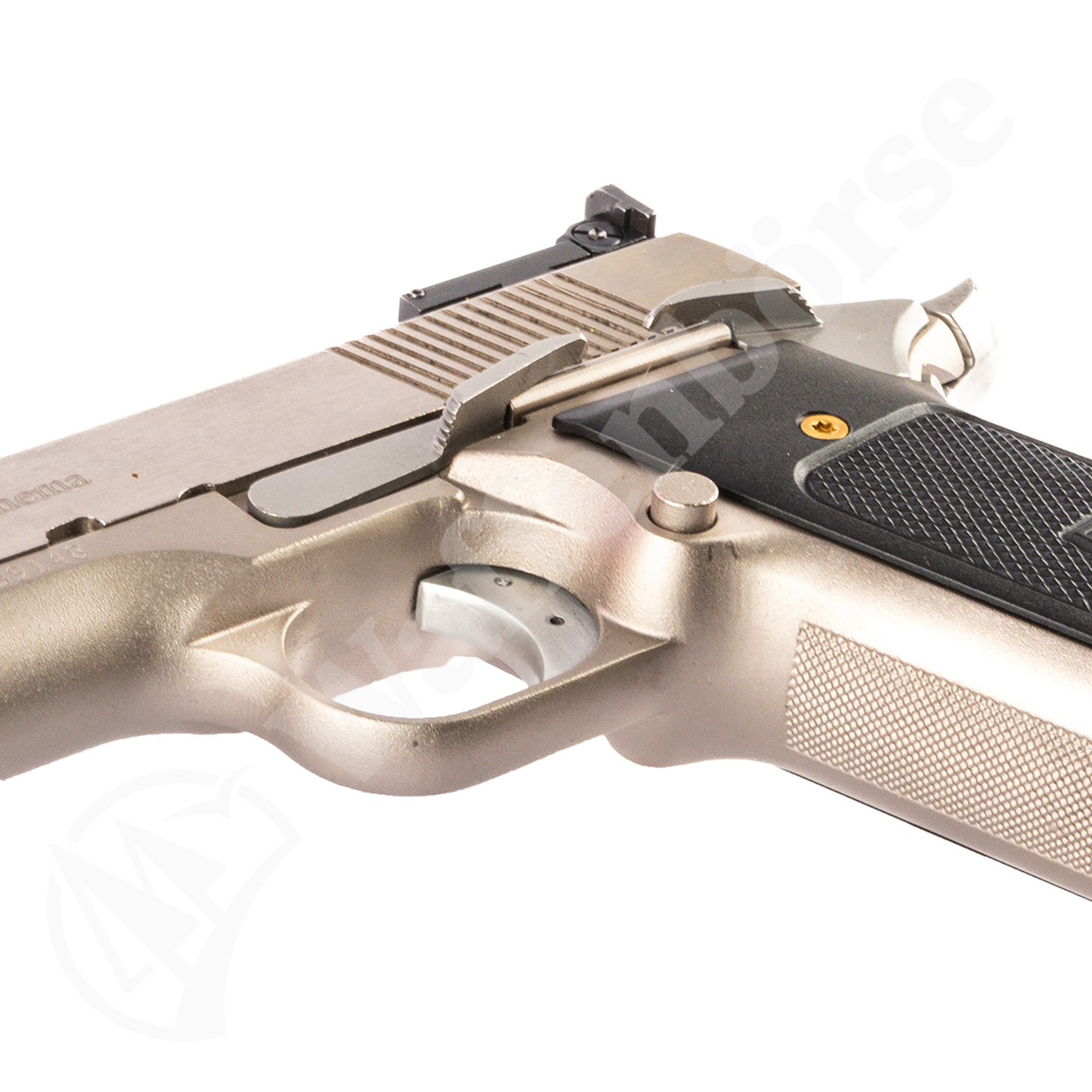 Tecnema TCM3 2011 .45 ACP