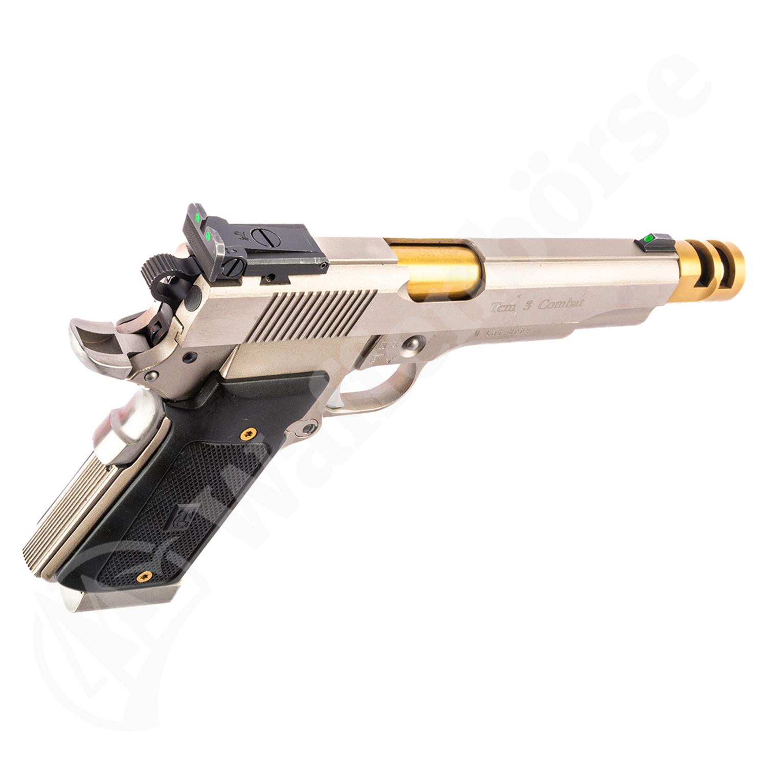 Tecnema TCM3 2011 .45 ACP