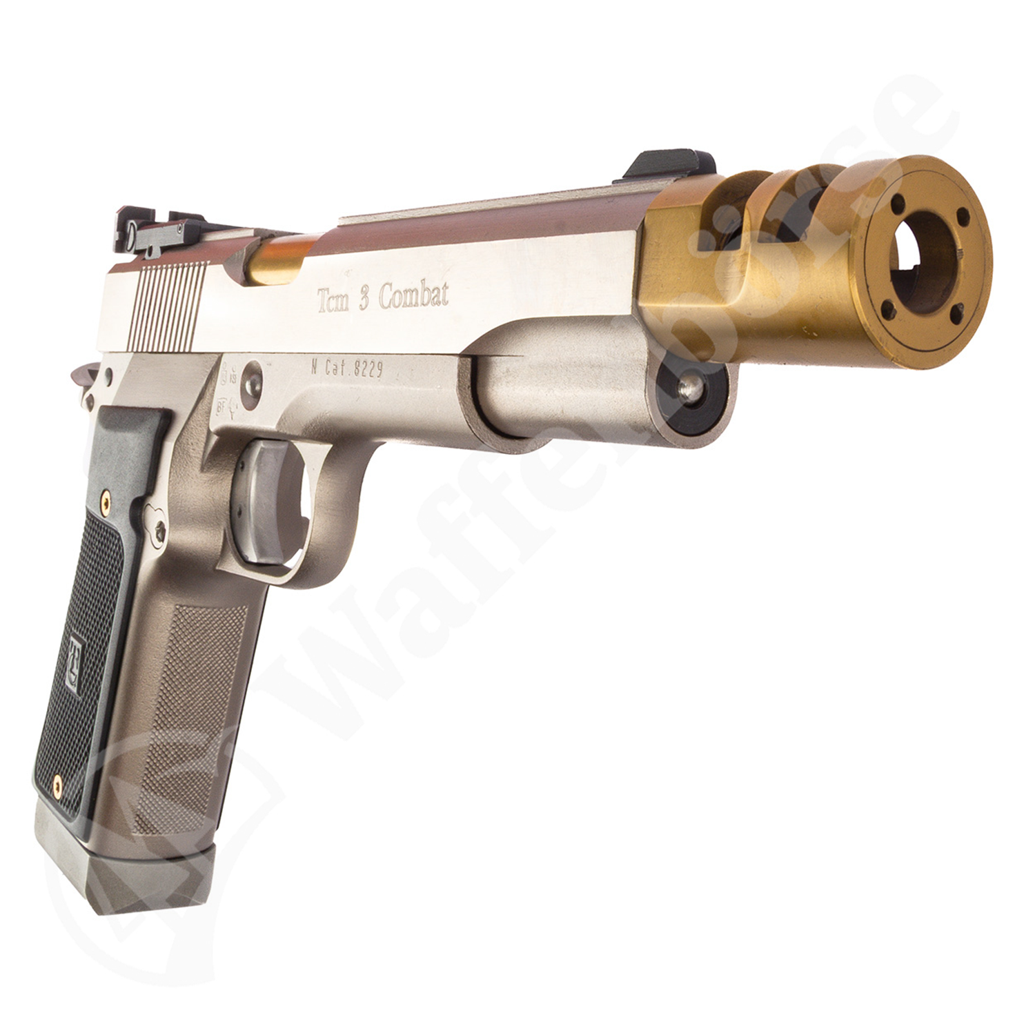 Tecnema TCM3 2011 .45 ACP