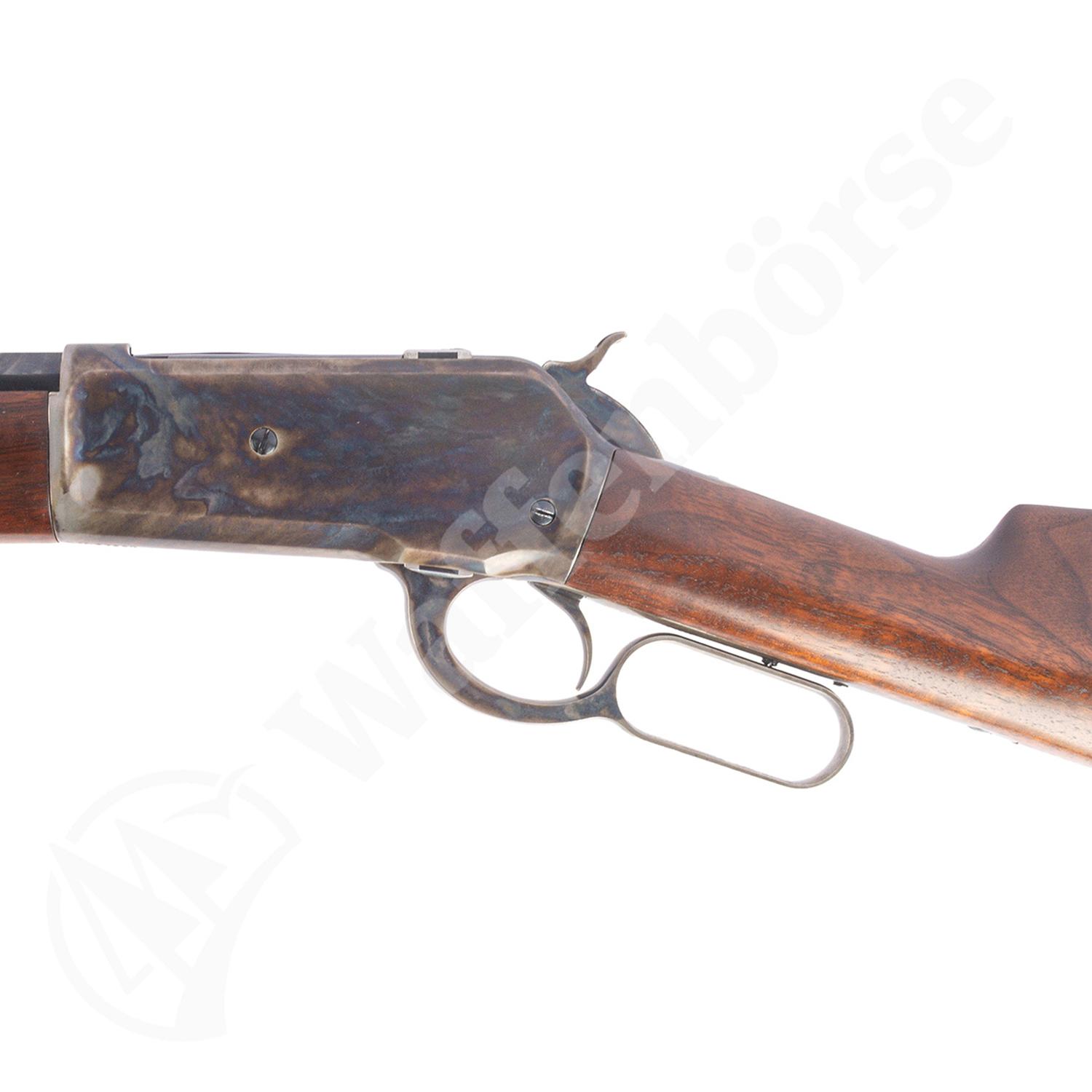 Armi Sports 1886 .45-70Gov.
