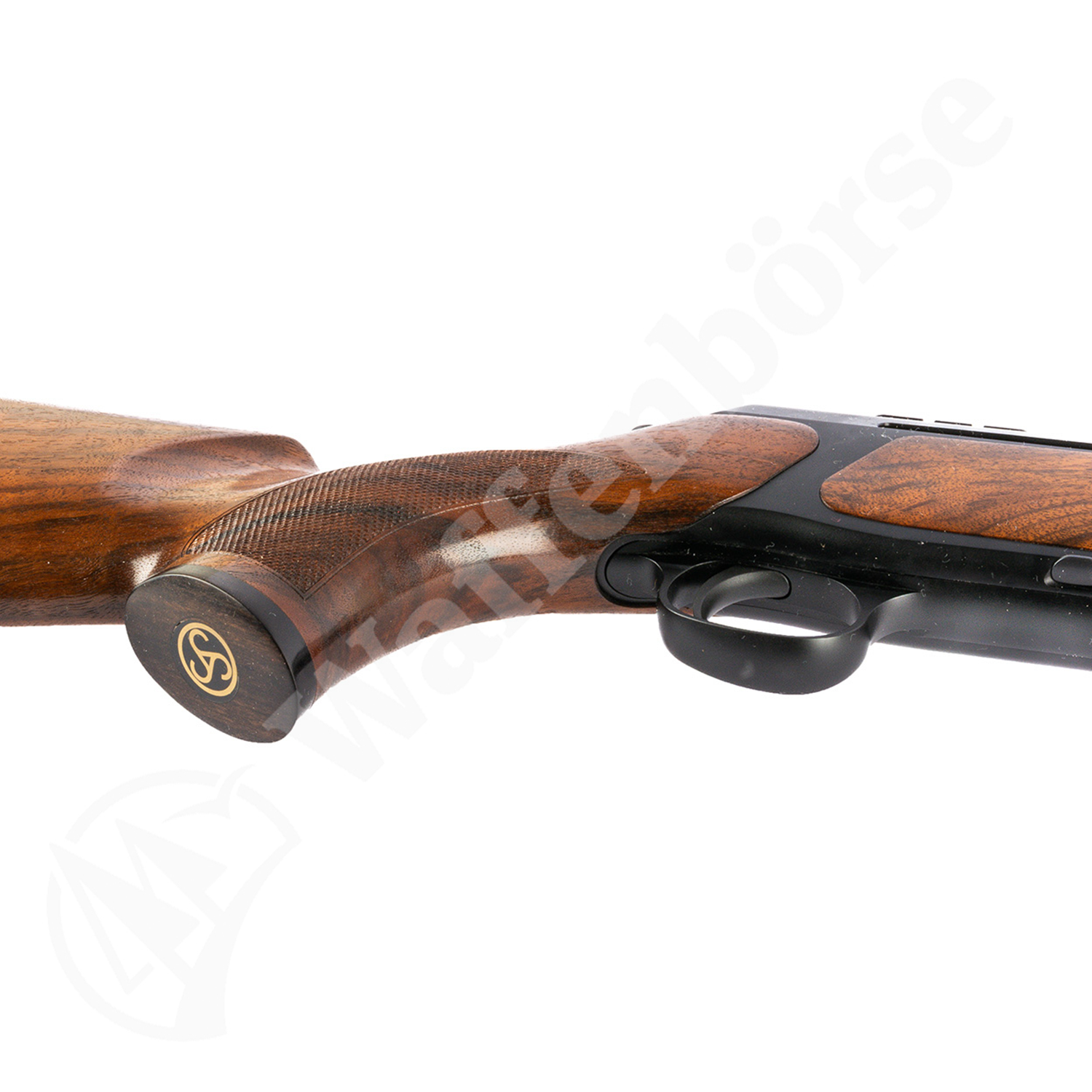 Sauer 303 .30-06
