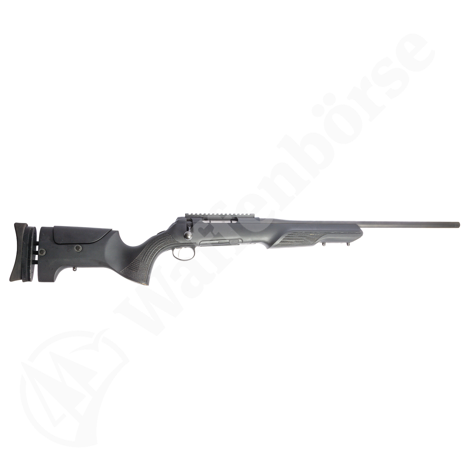Capra Matterhorn .30-06