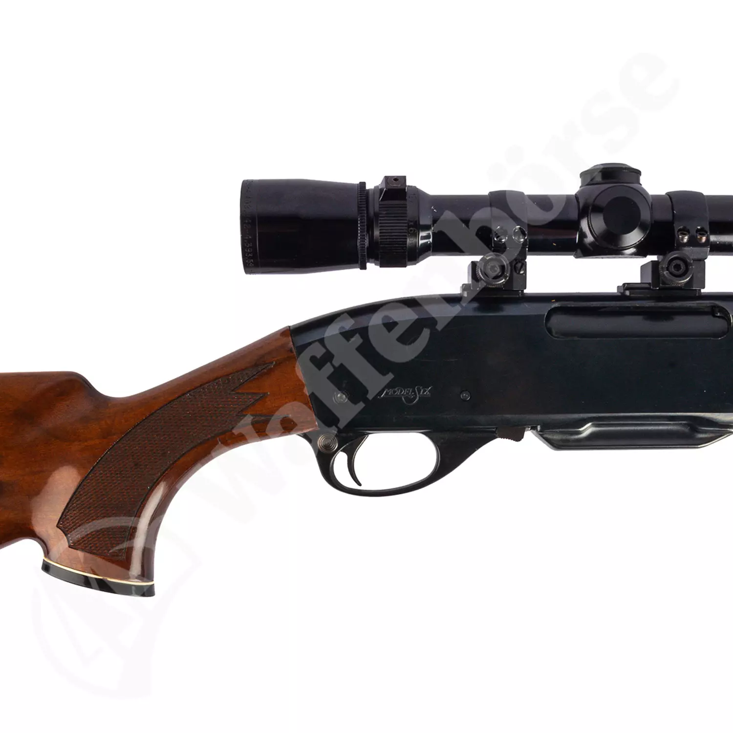 Remington S1x .243 Win.