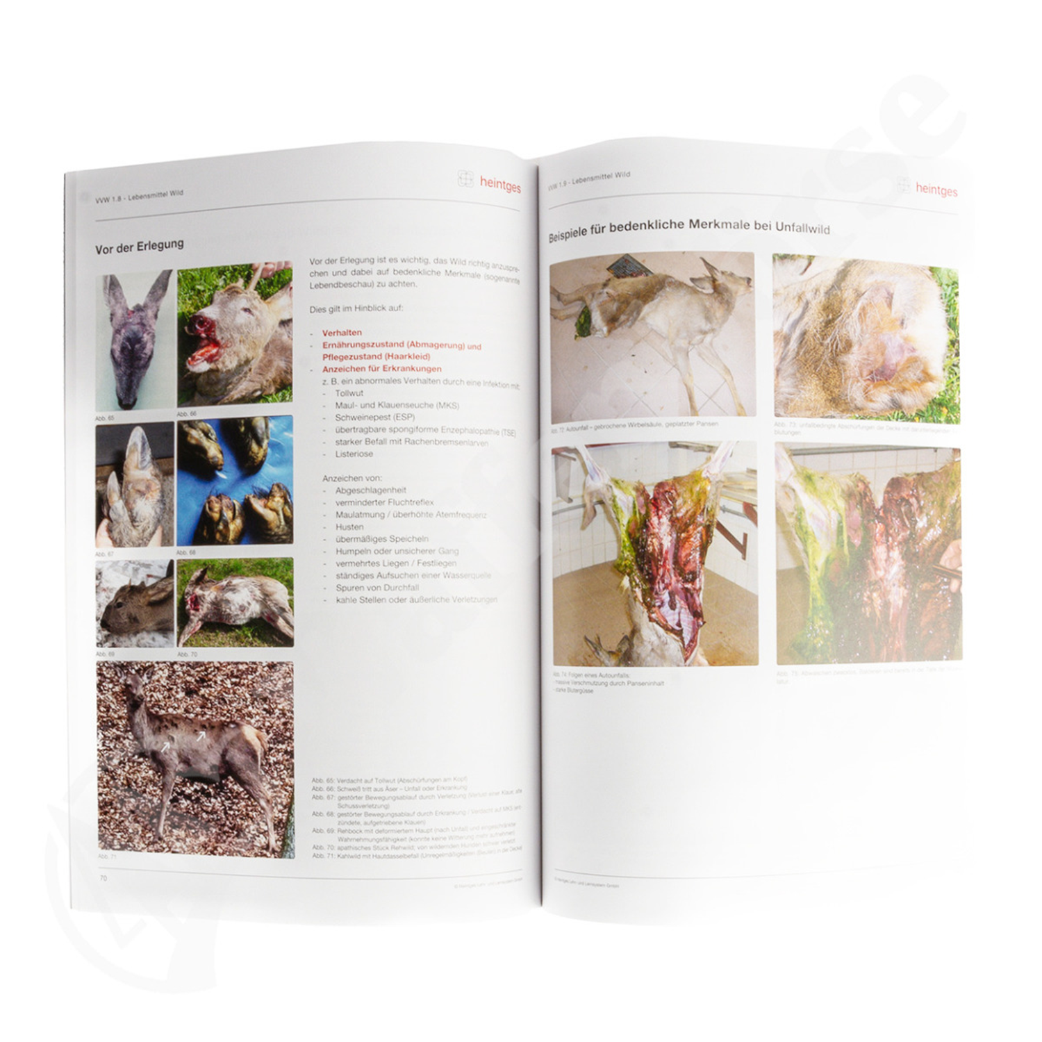 HEINTGES Wildkrankheiten, Versorgen & Verwerten von Wild