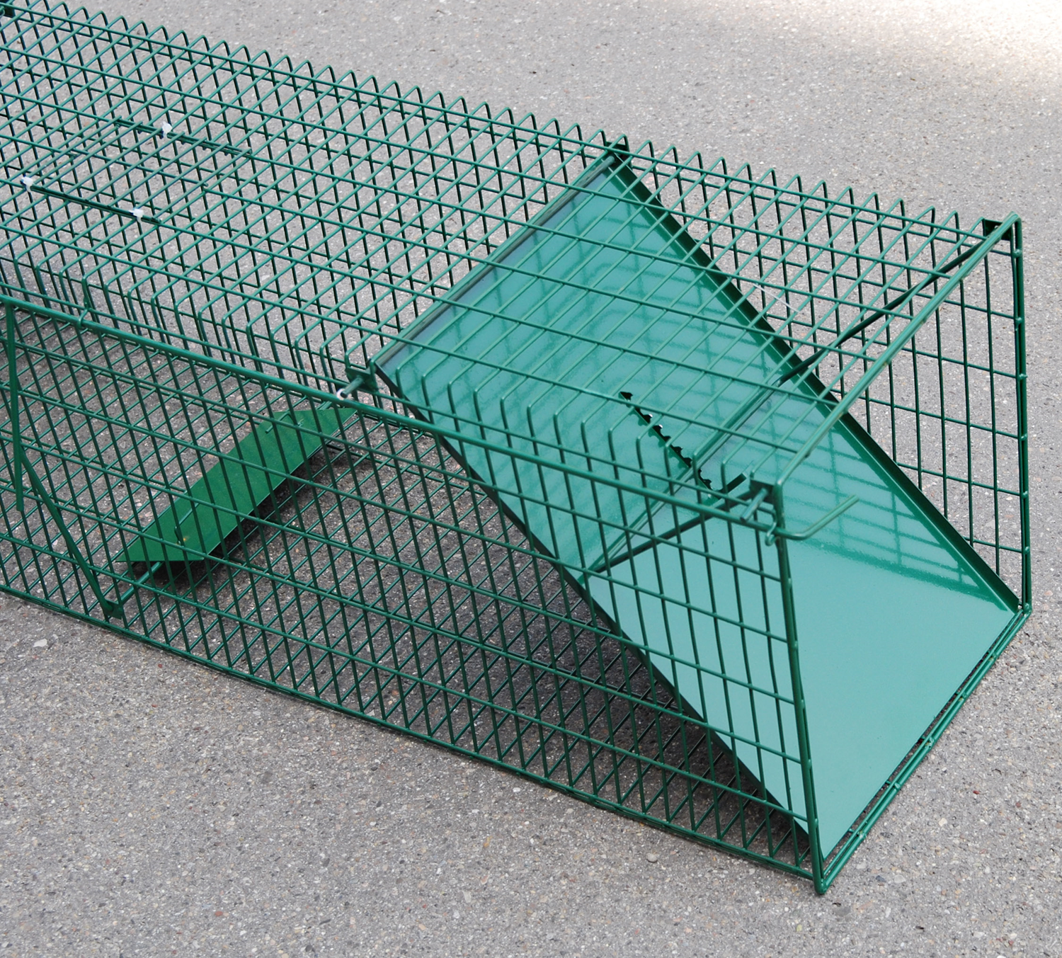 Drahtkastenfalle gross