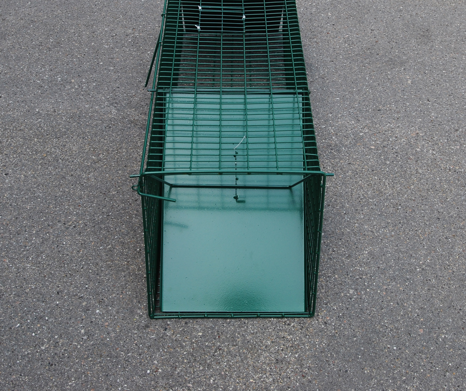 Drahtkastenfalle gross