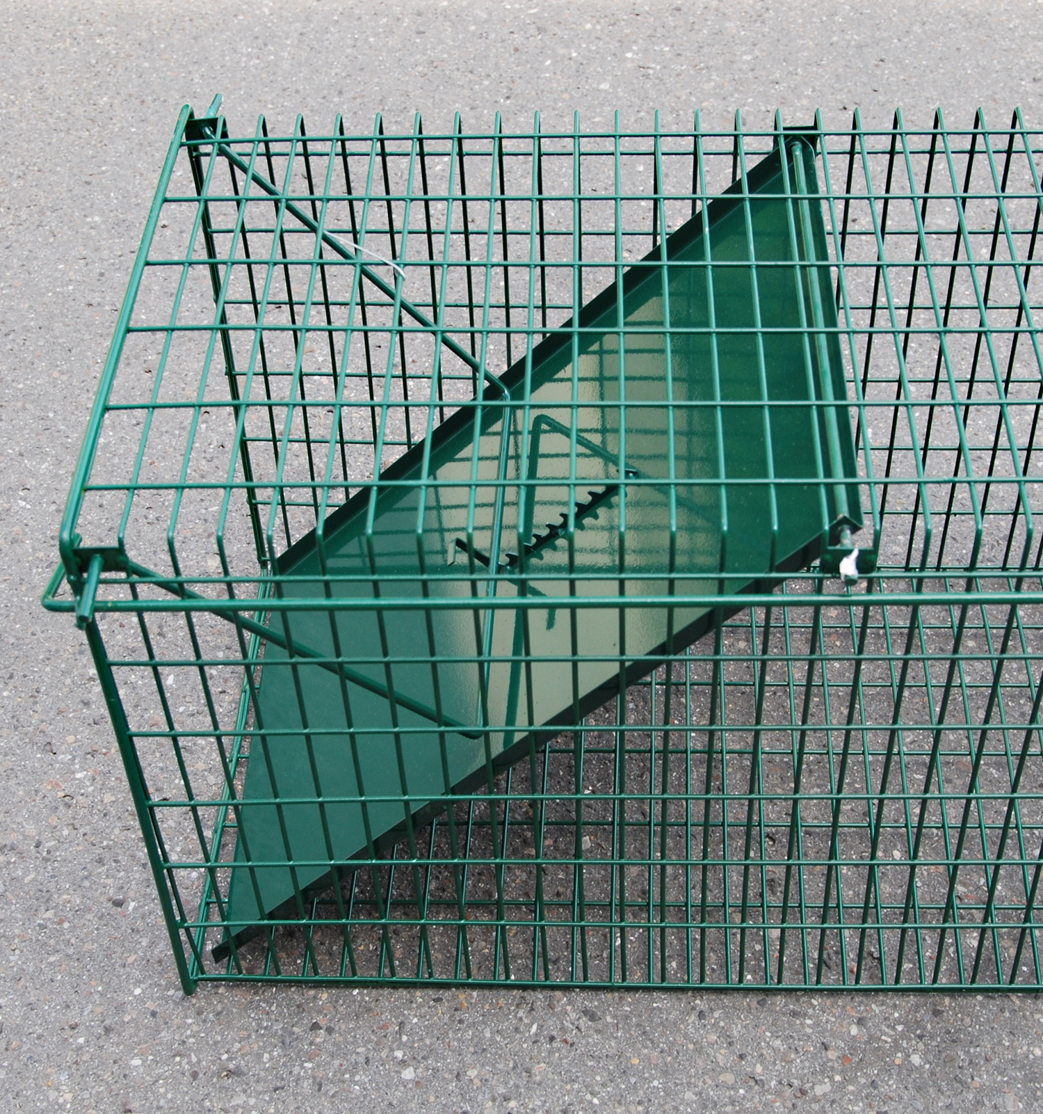 Drahtkastenfalle gross