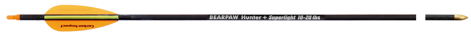 BEARPAW Carbonpfeil Penthalon Slim Line 500 strong Plastikfletches