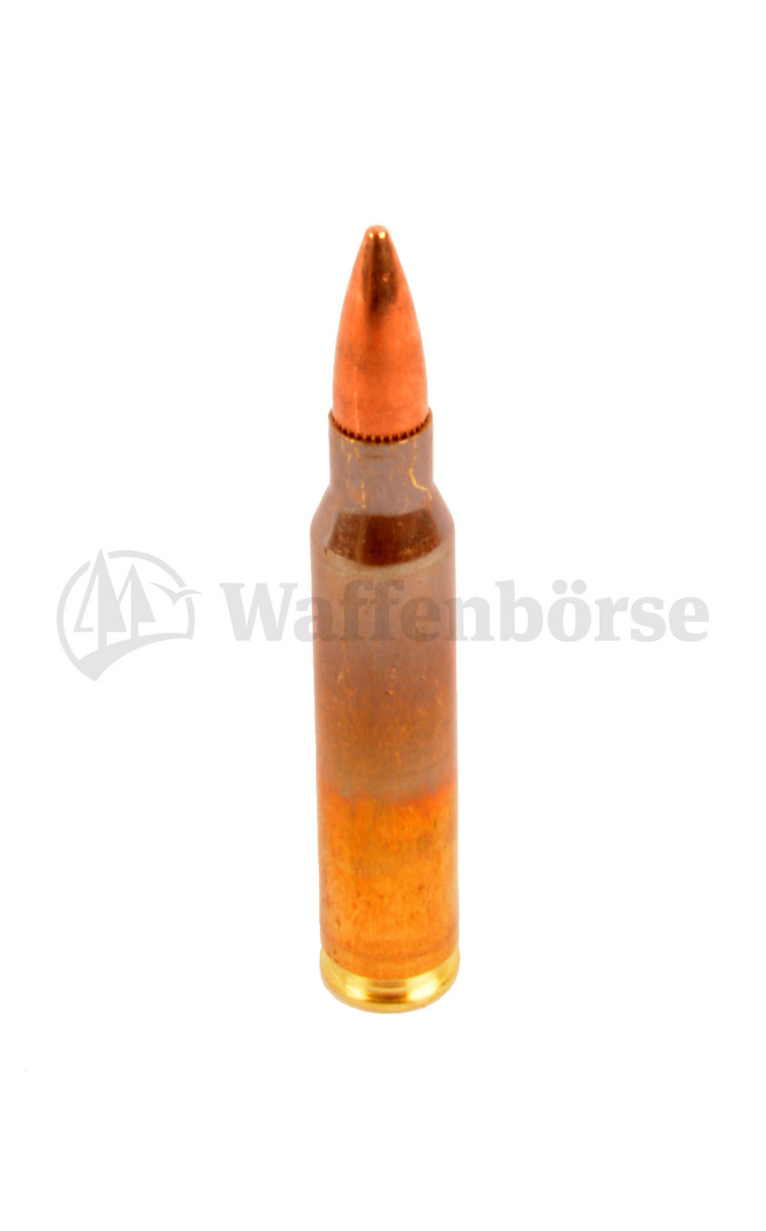 GGG  .223 Remington VM  3,56g / 55grain