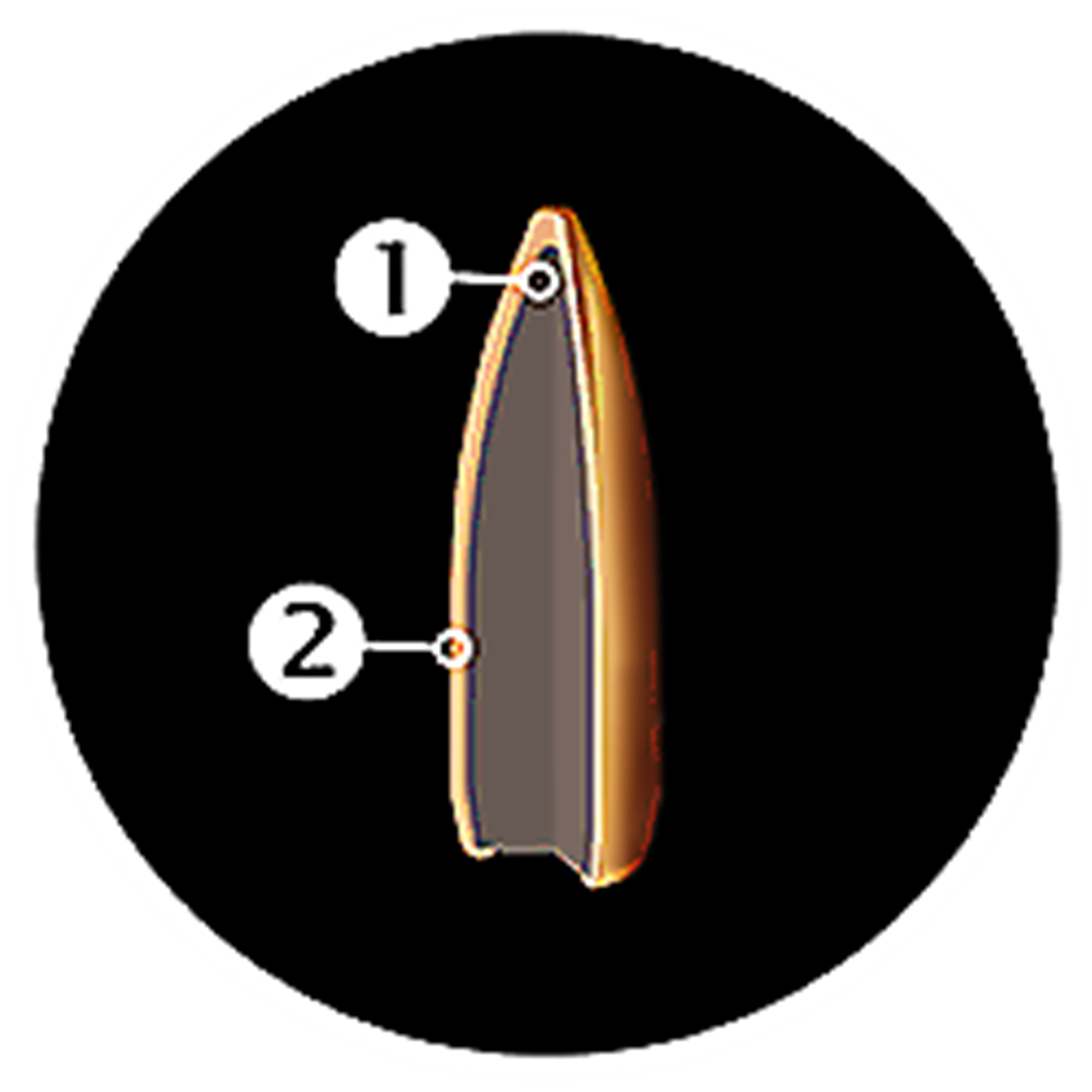 GECO .308 Winch. DTX 150grain