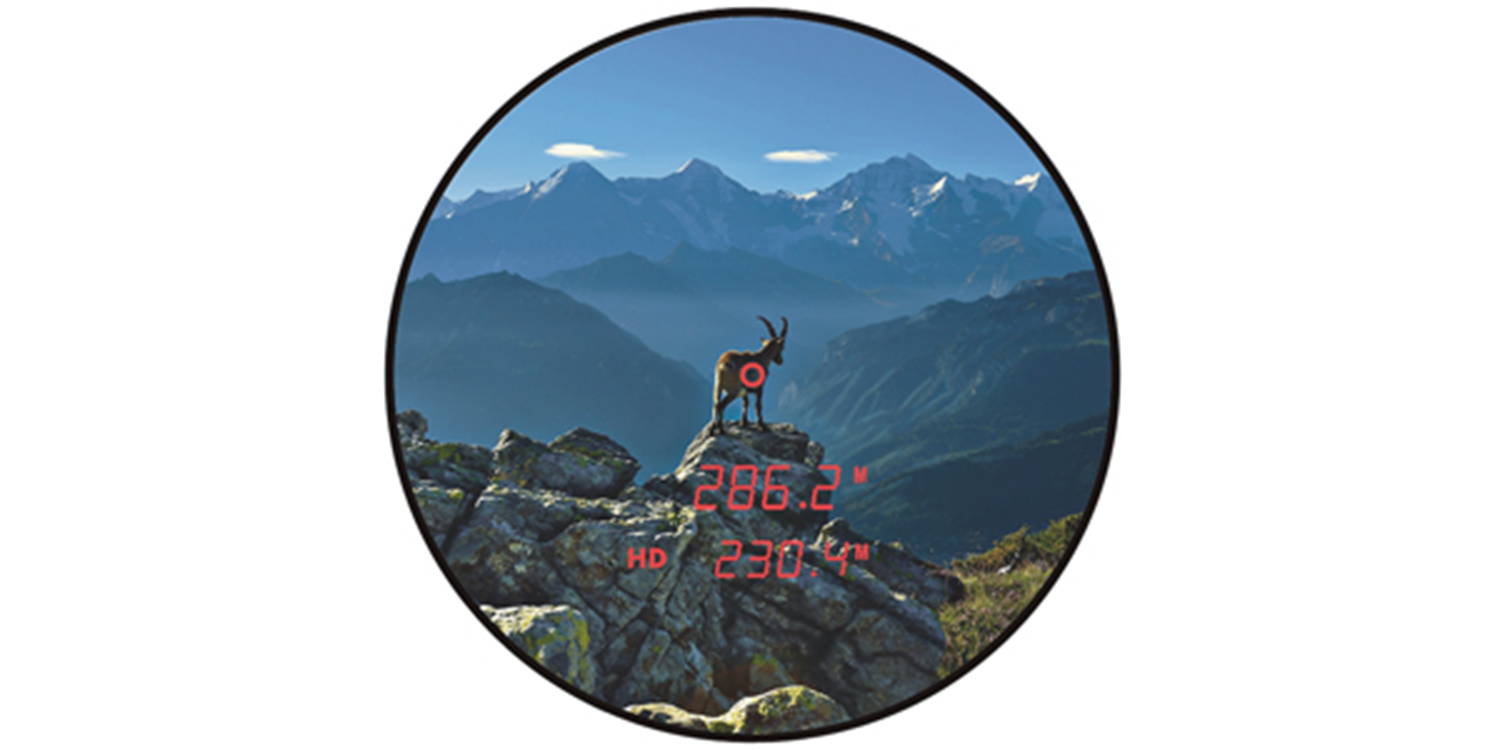 Steiner eRanger 10x42 LRF