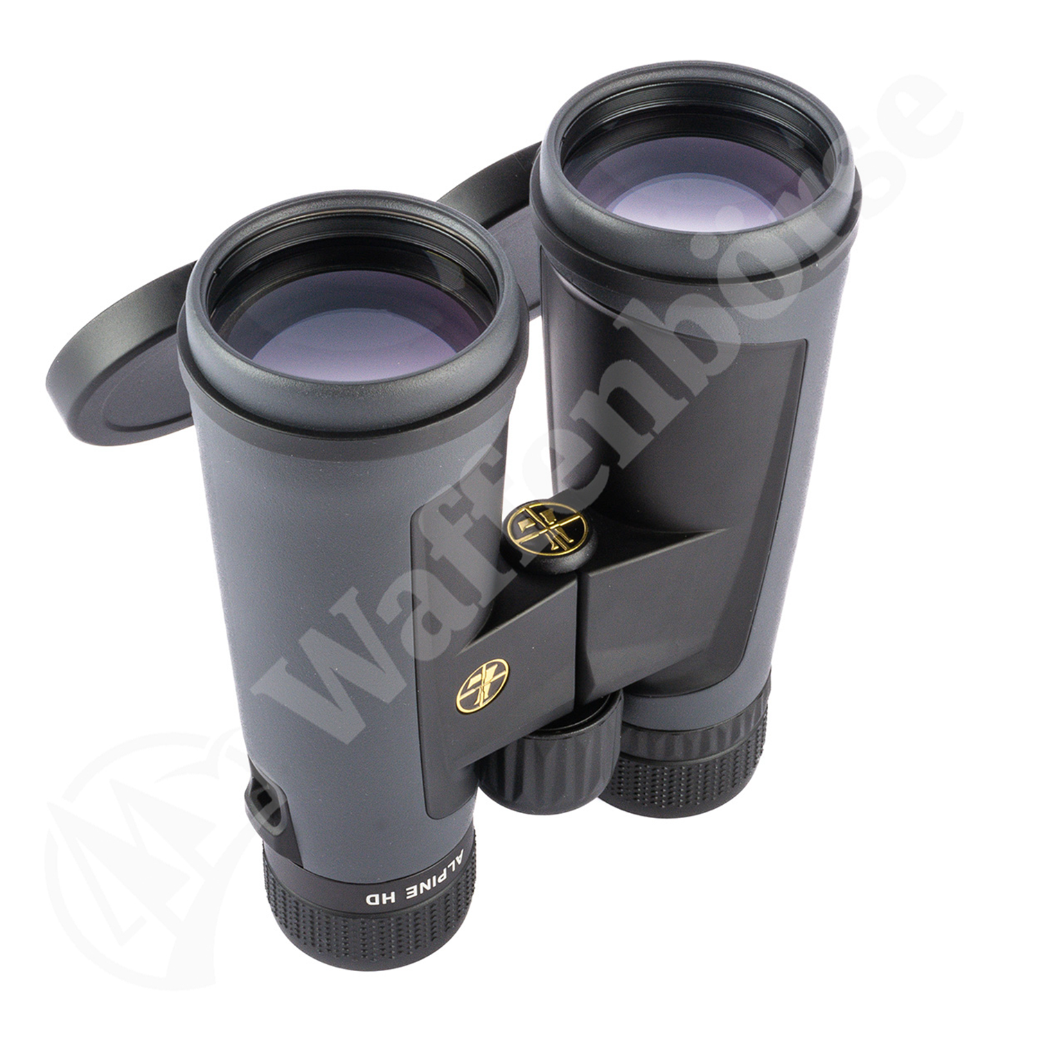 Leupold BX-2 Alpine 10x52