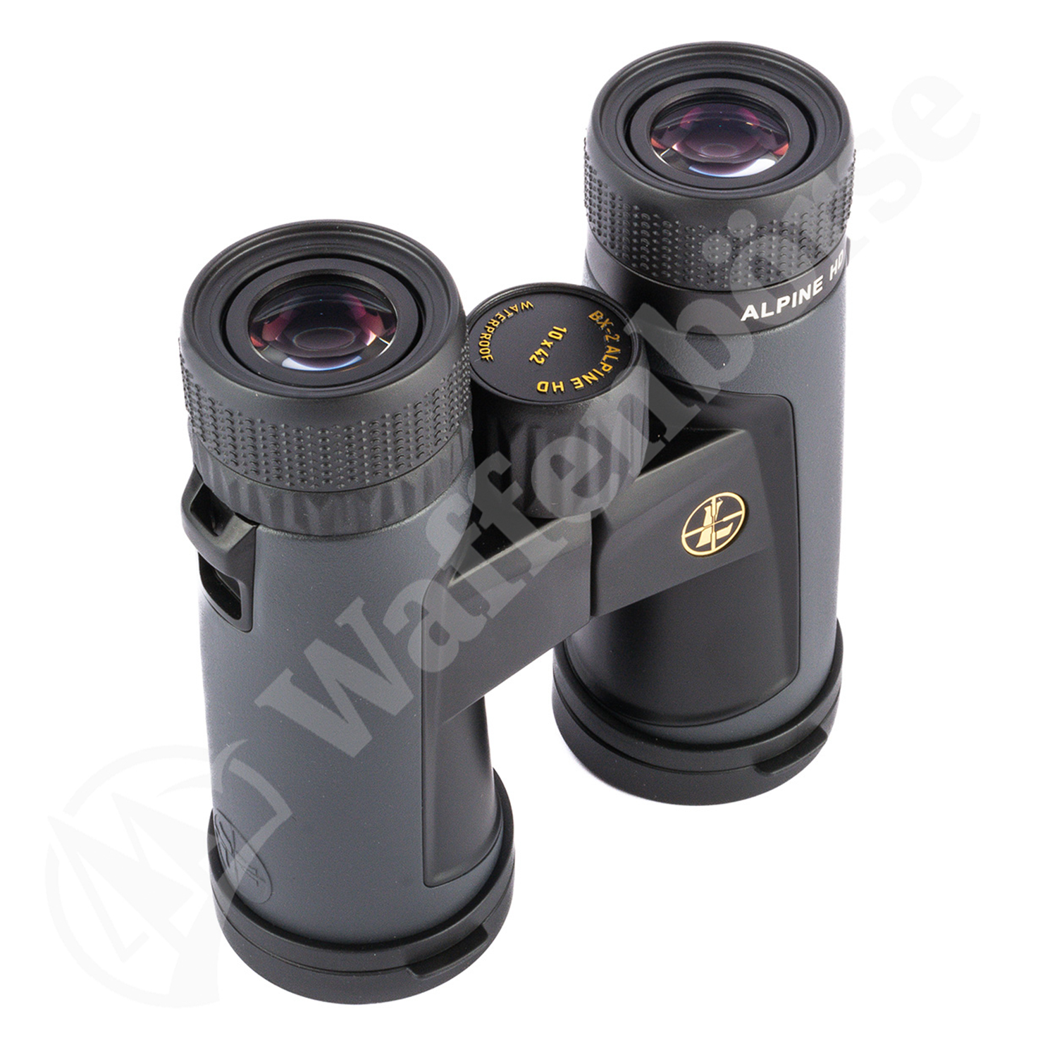 Leupold BX-2 Alpine 10x42