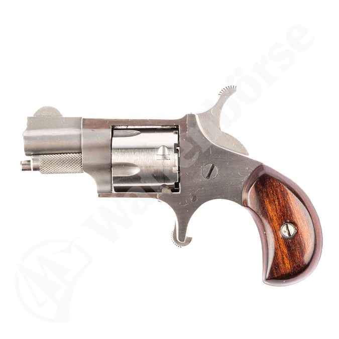 NAA Mini Revolver .22 short