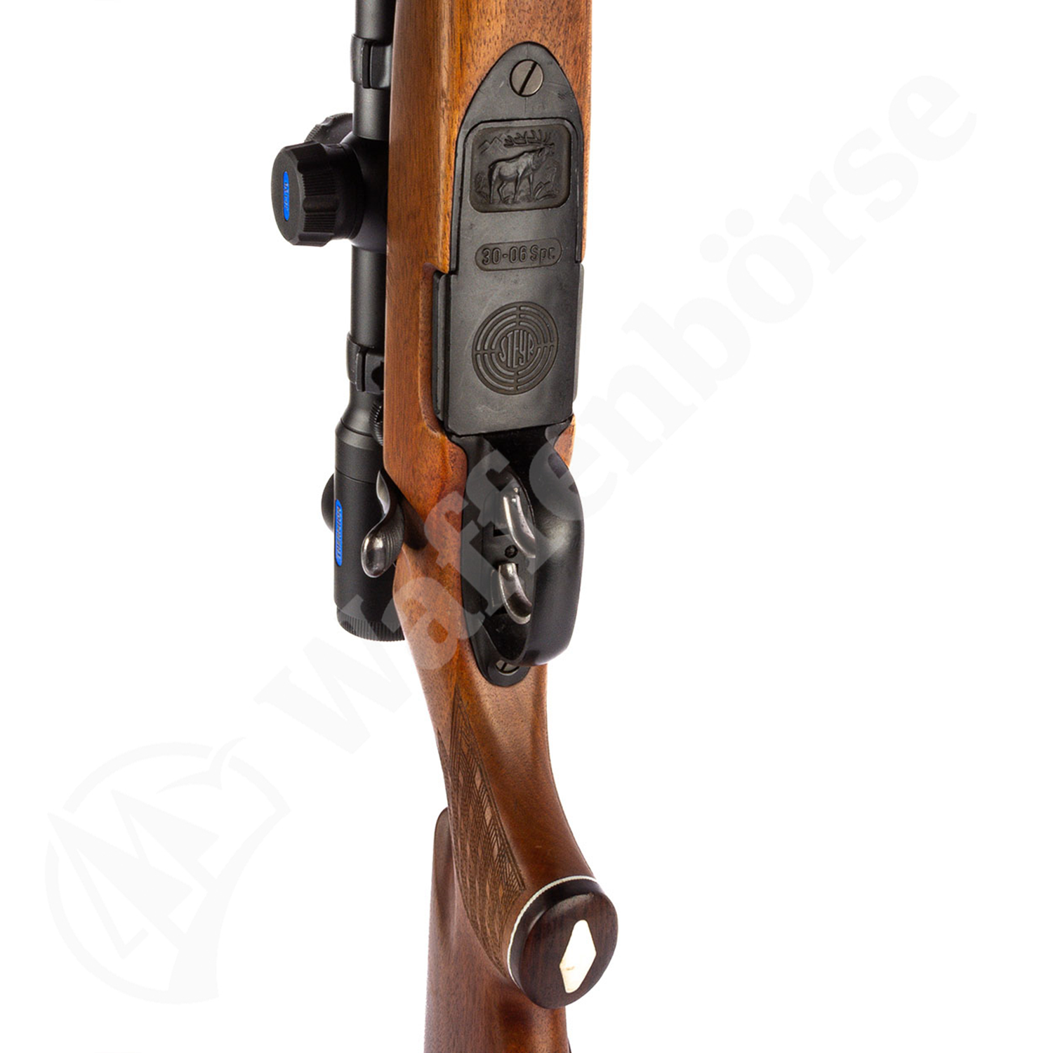 Steyr Mannlicher M .30-06