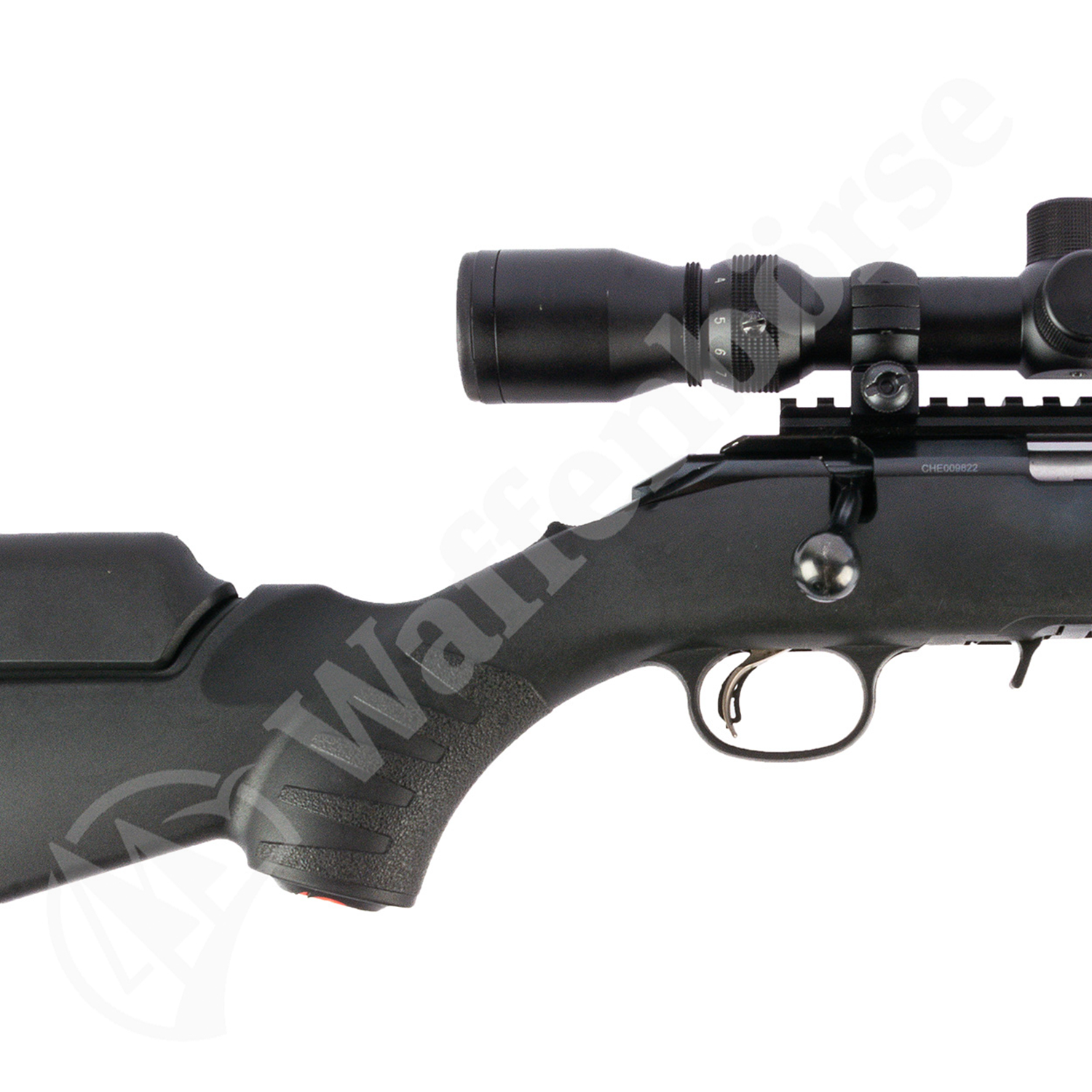 Ruger American .22lr