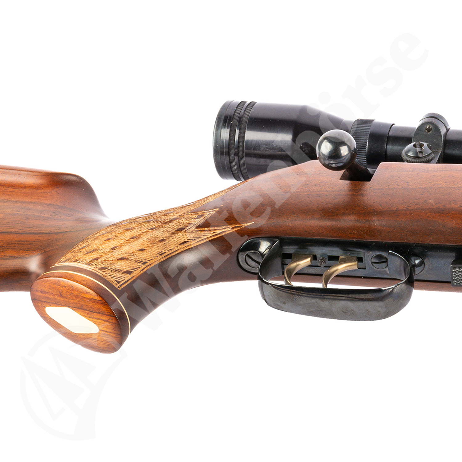 Anschütz 1730 .22 Hornet