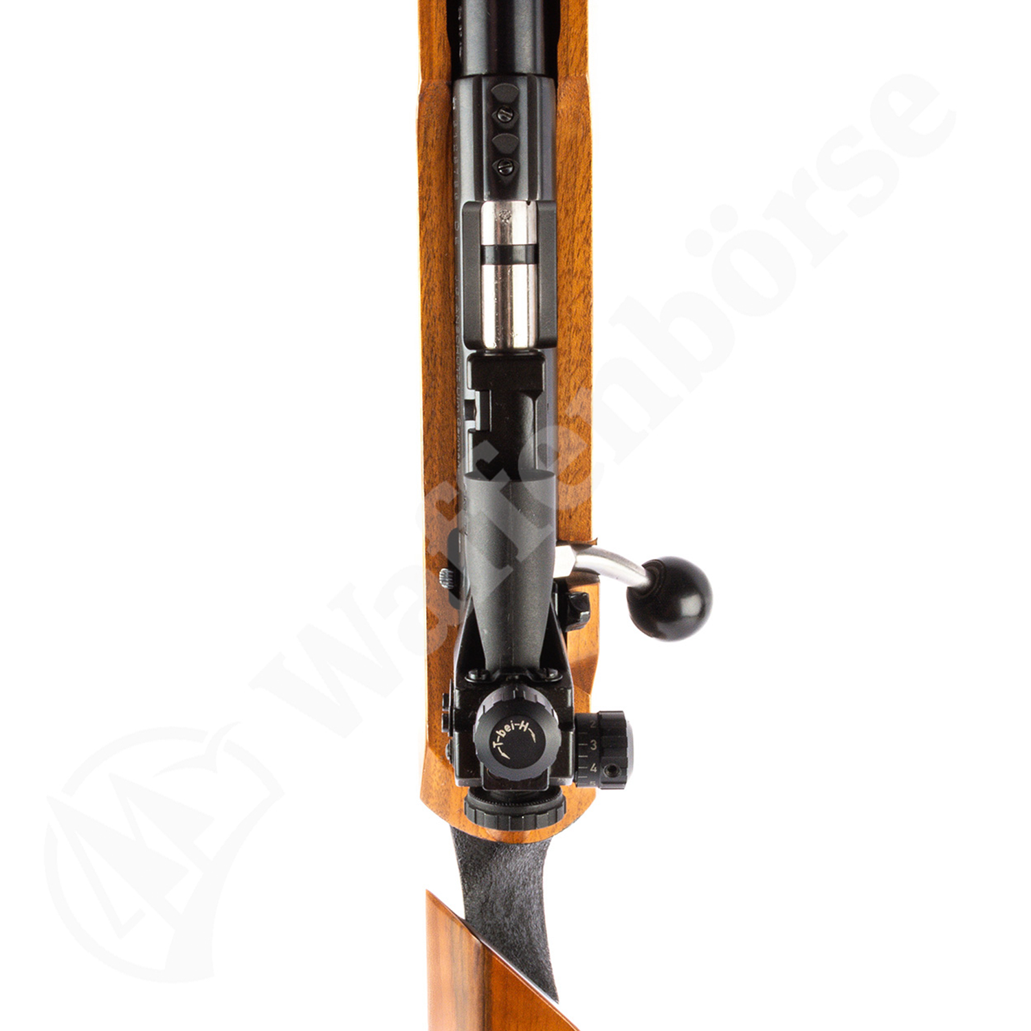 Anschütz 1903 .22lr