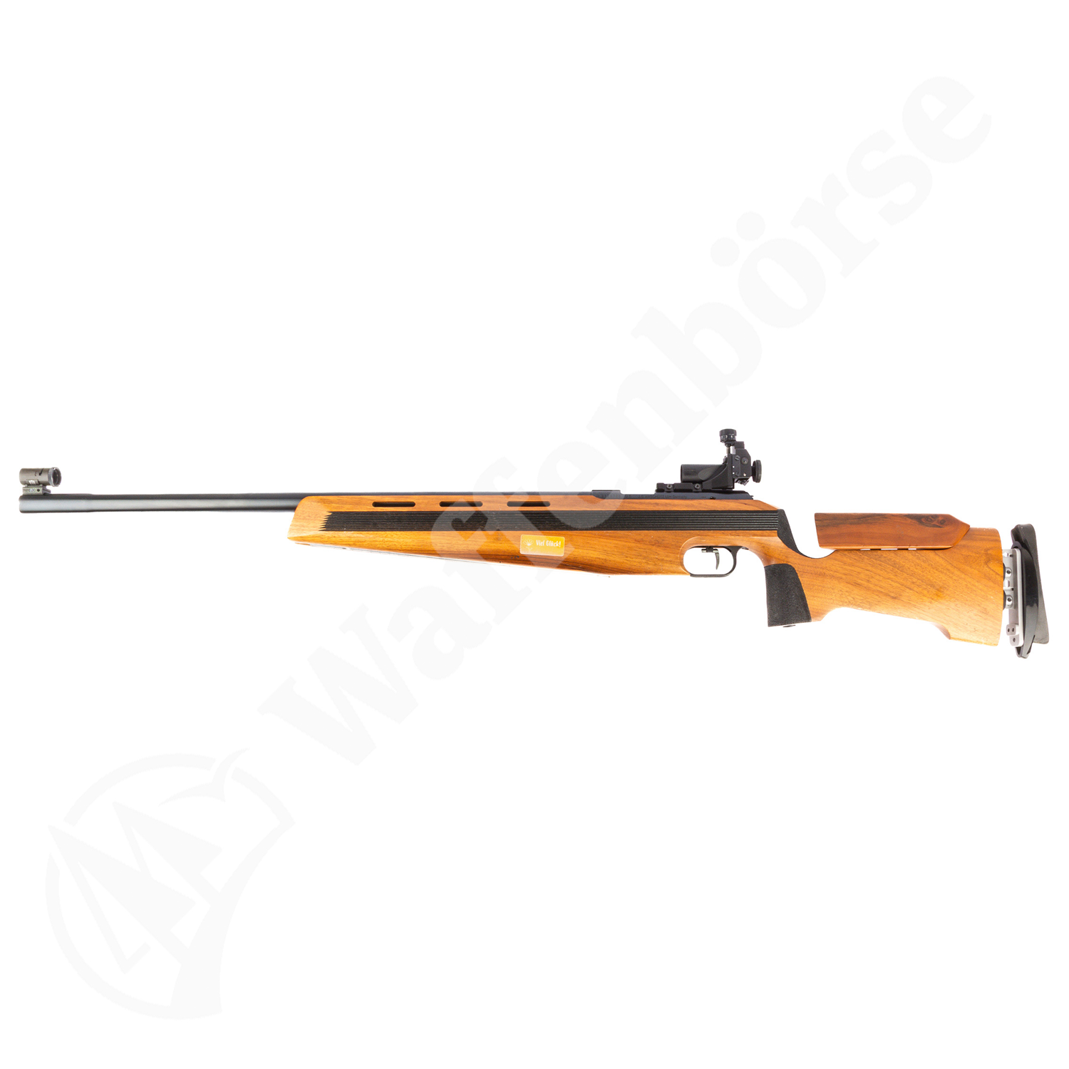 Anschütz 1903 .22lr