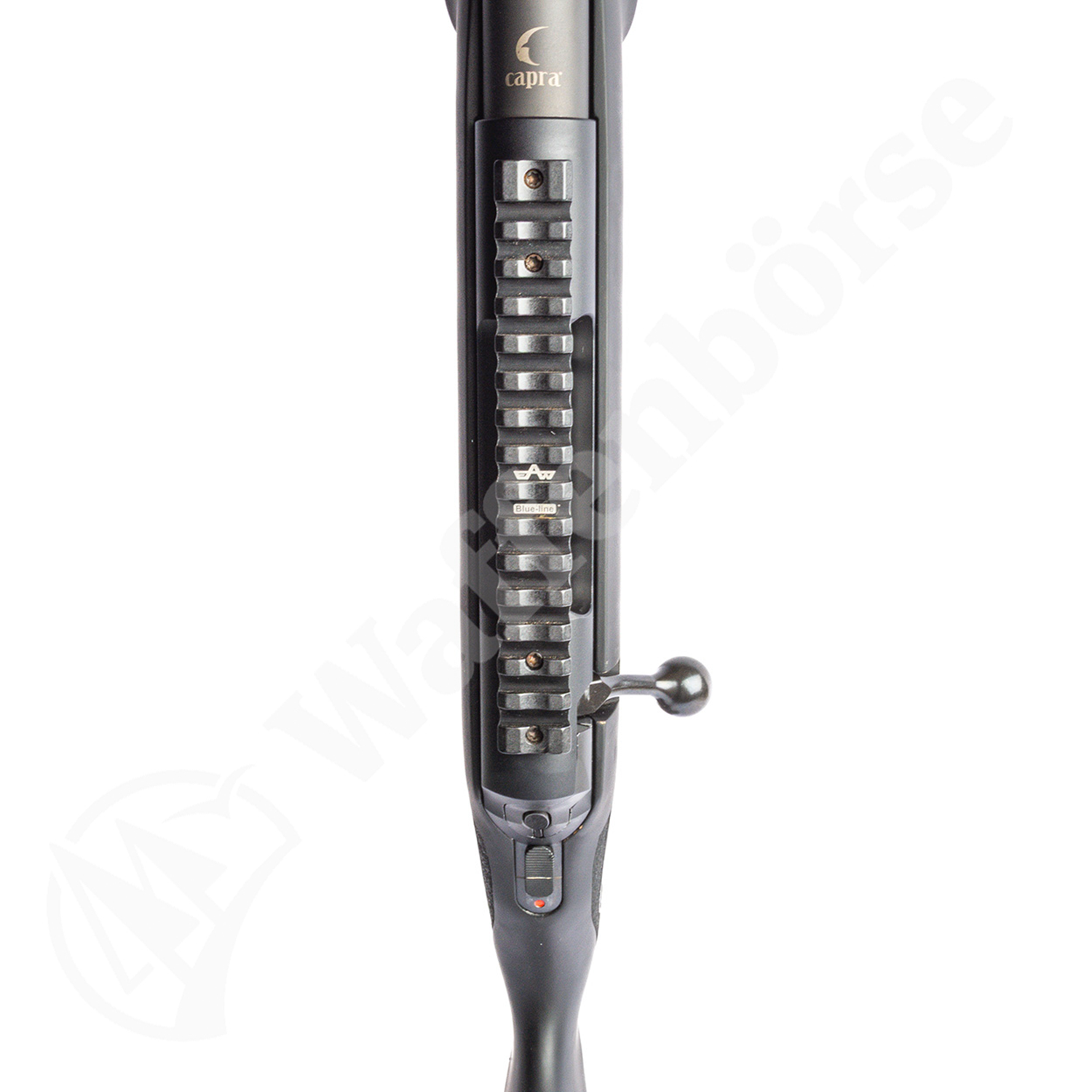 Capra Matterhorn .30-06