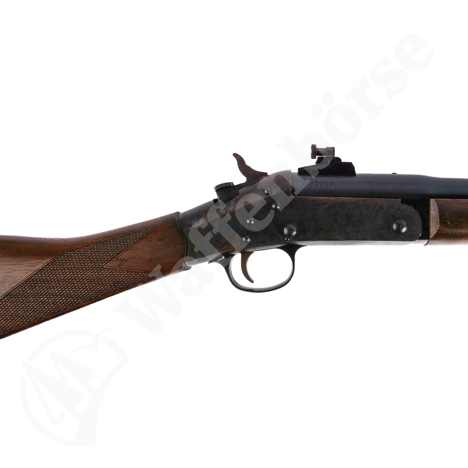 Harrington & Richardson 1871 .45-70 Gov