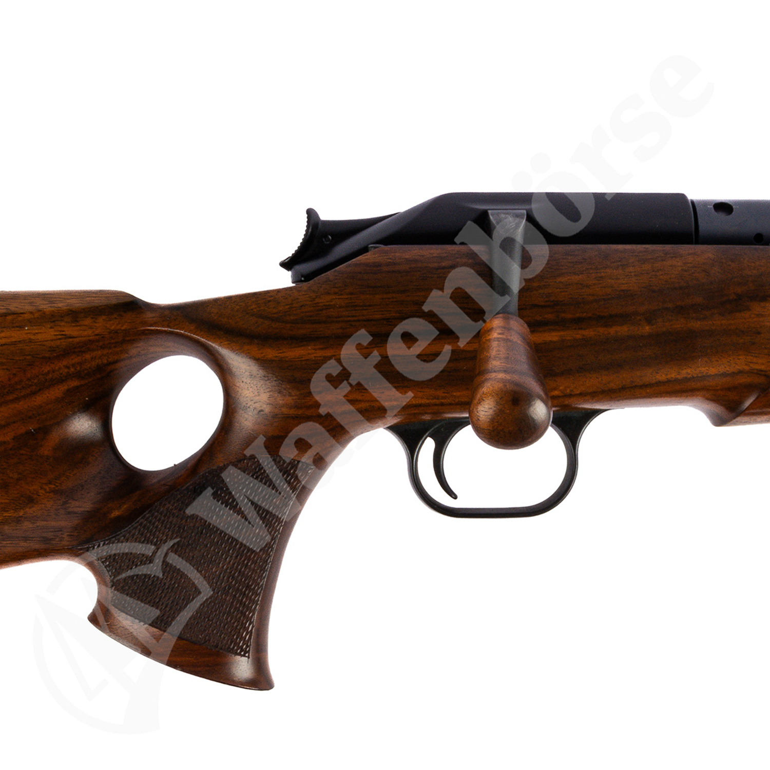 Blaser R93 Success .30-06 Spring.