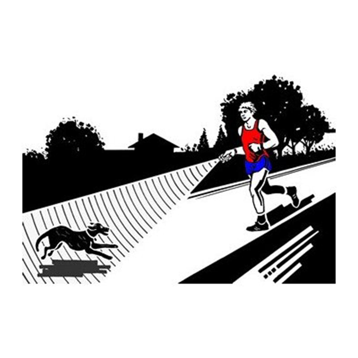 Original DAZER - Elektronisches Ultraschall-Signalgerät