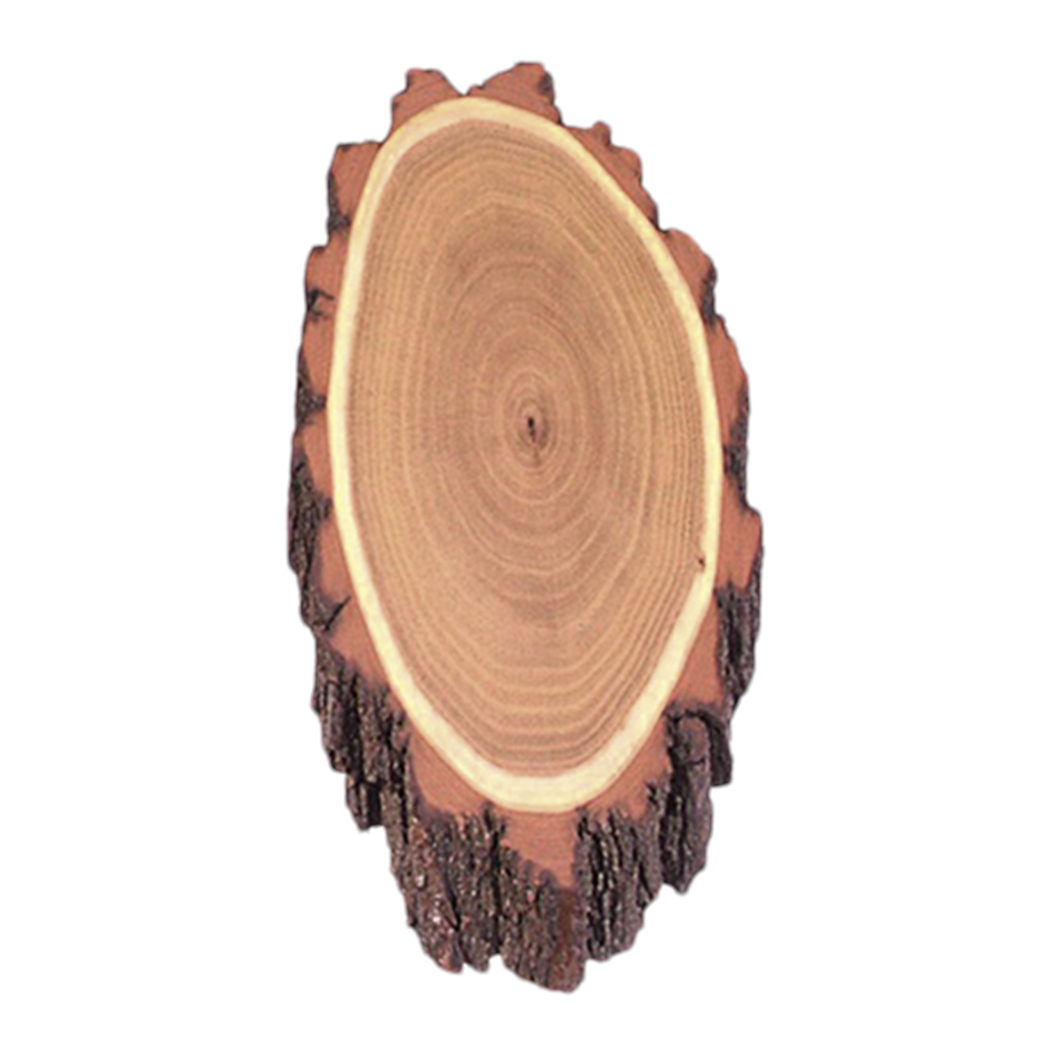 Akazienschilder für Rehtrophäen ohne Fach