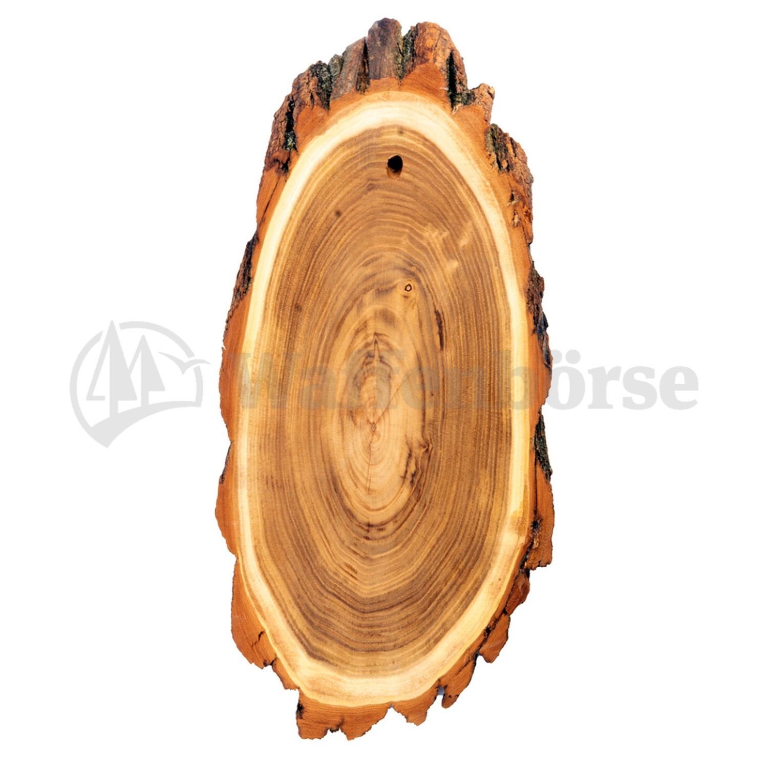 Gehörnbrett, Trophäenschilder Hirsch  Akazie