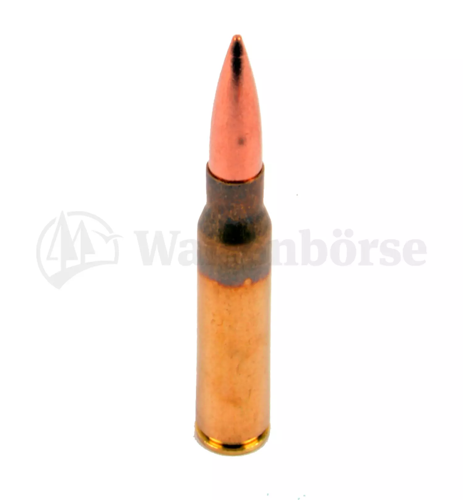 Partizan 7,5x54 French FMJ 9.0g/139grain