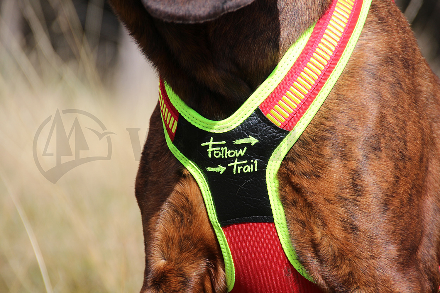 Niggeloh Führgeschirr M Follow TRAIL