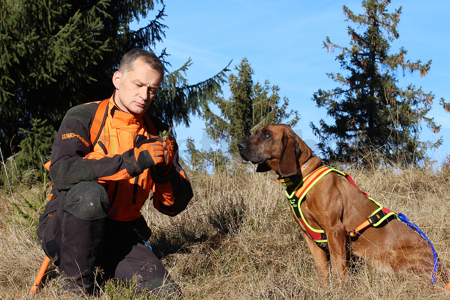 Niggeloh Führgeschirr M Follow TRAIL