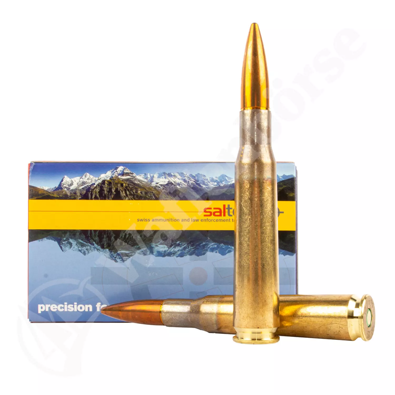 SALTECH  .50 BMG FMJ  660gr