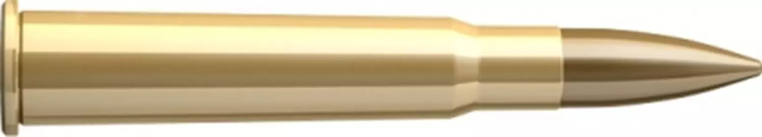 Sellier & Bellot .303 British FMJ 11.7g