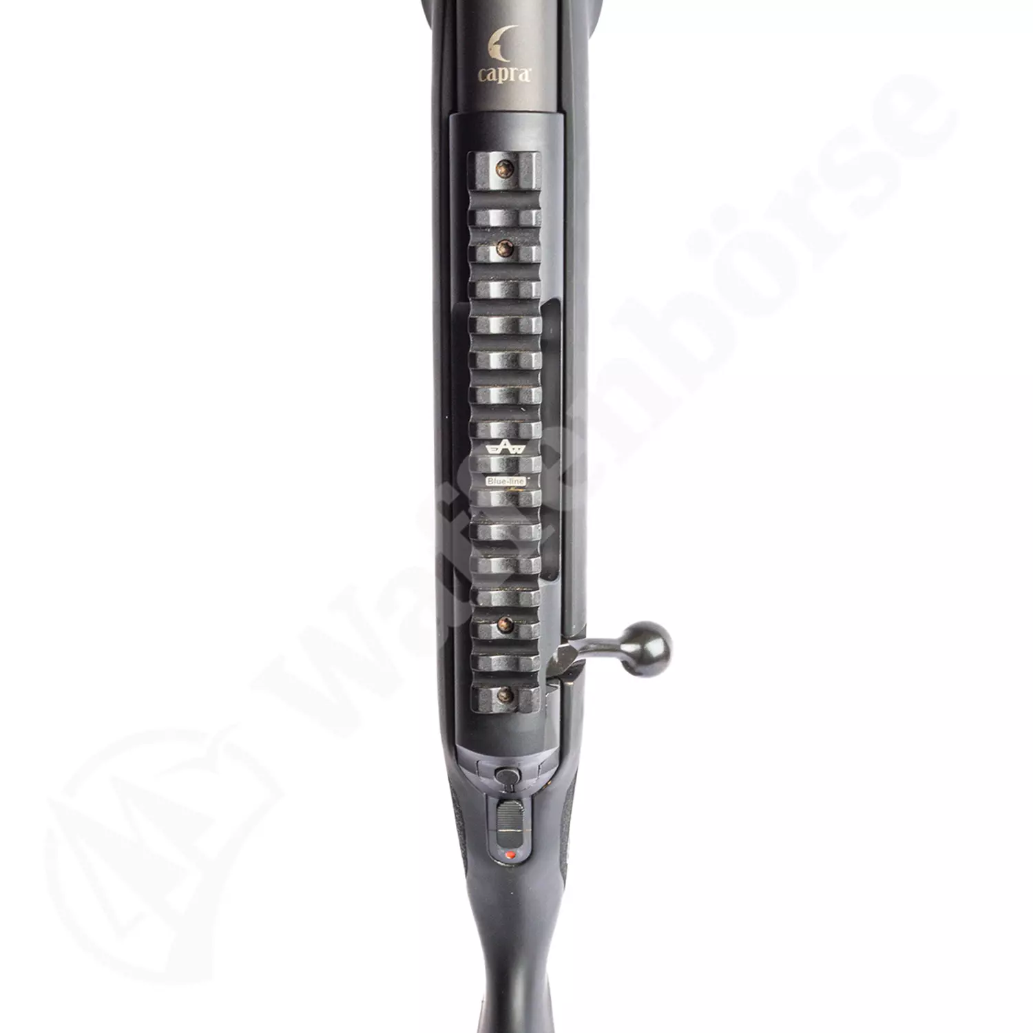 Capra Matterhorn .30-06