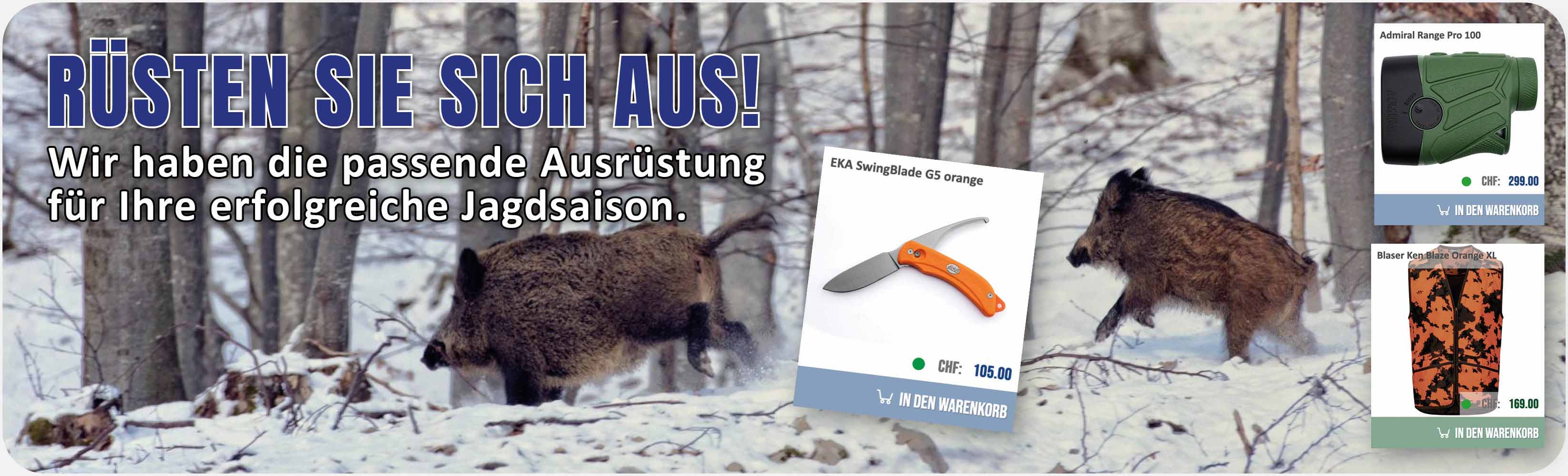 Saujagd - Aktuell