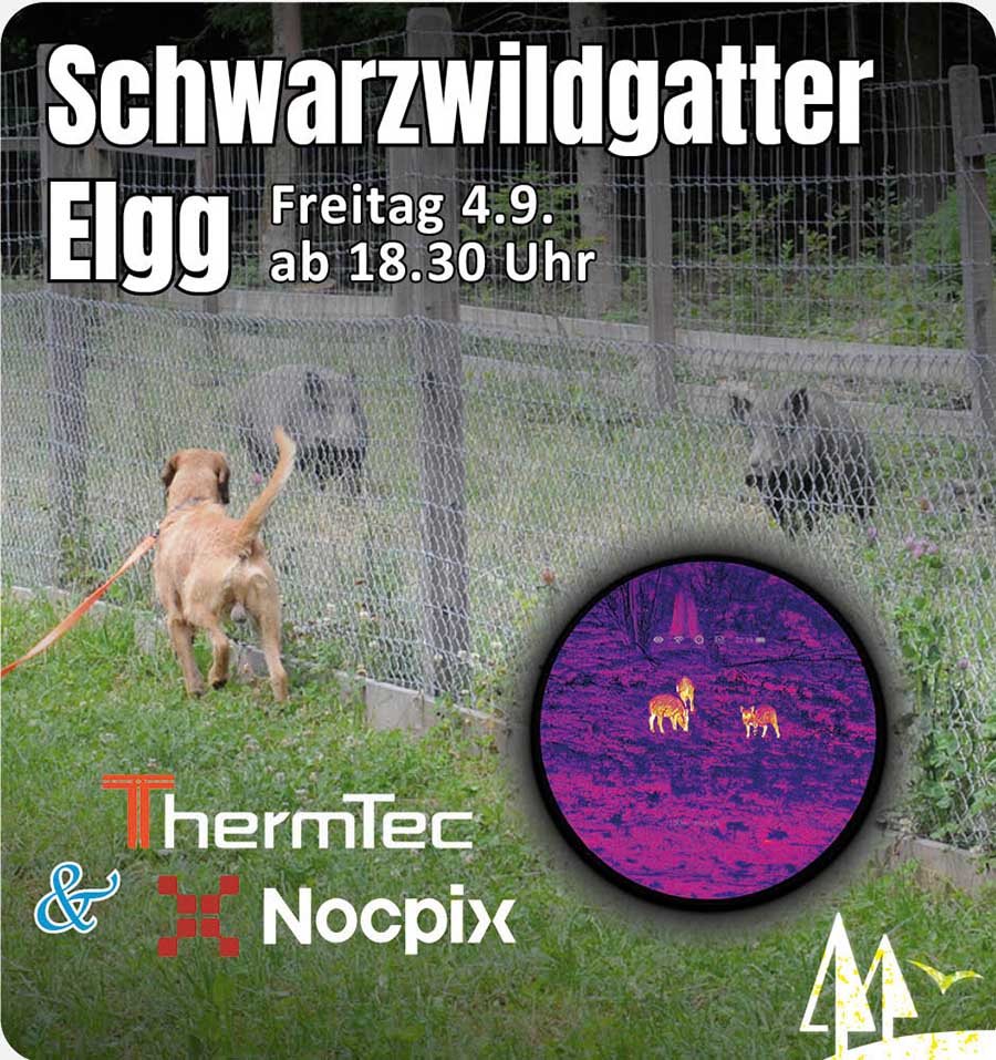 Schnaeppchen Mobile Banner