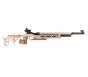 TESRO Matchluftgewehr RS 100 Pro Silber  Pressluft, 4,5mm 